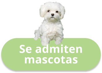 Se admiten mascotas